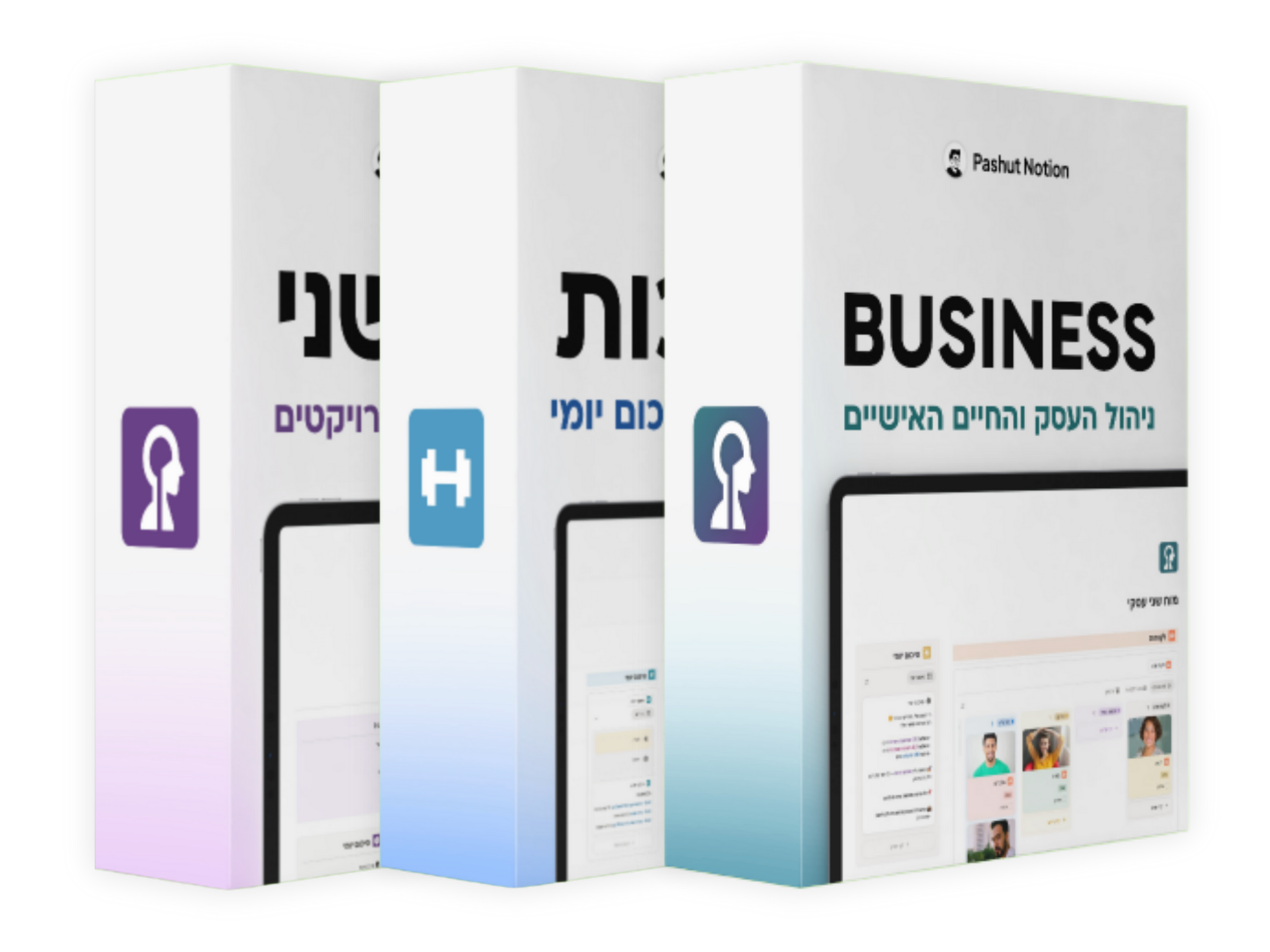 Business מוח שני Pashut Notion